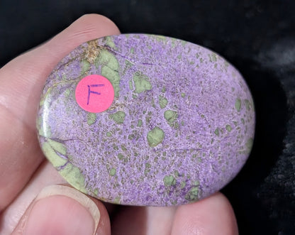 Atlantisite Palm Stone 1F3