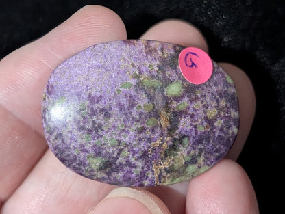 Atlantisite Palm Stone 1G3