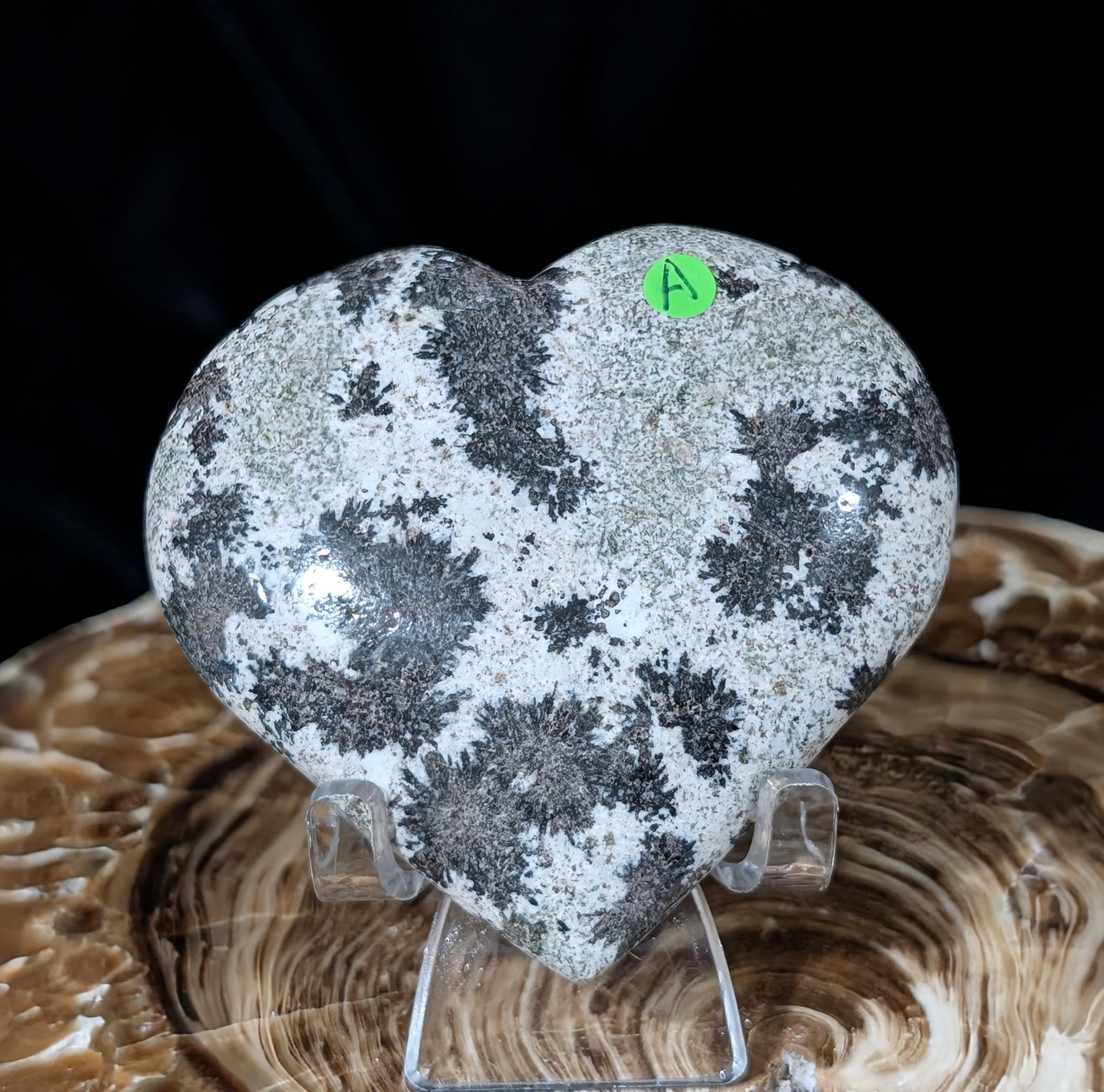 Back Tourmaline on Epidote Heart