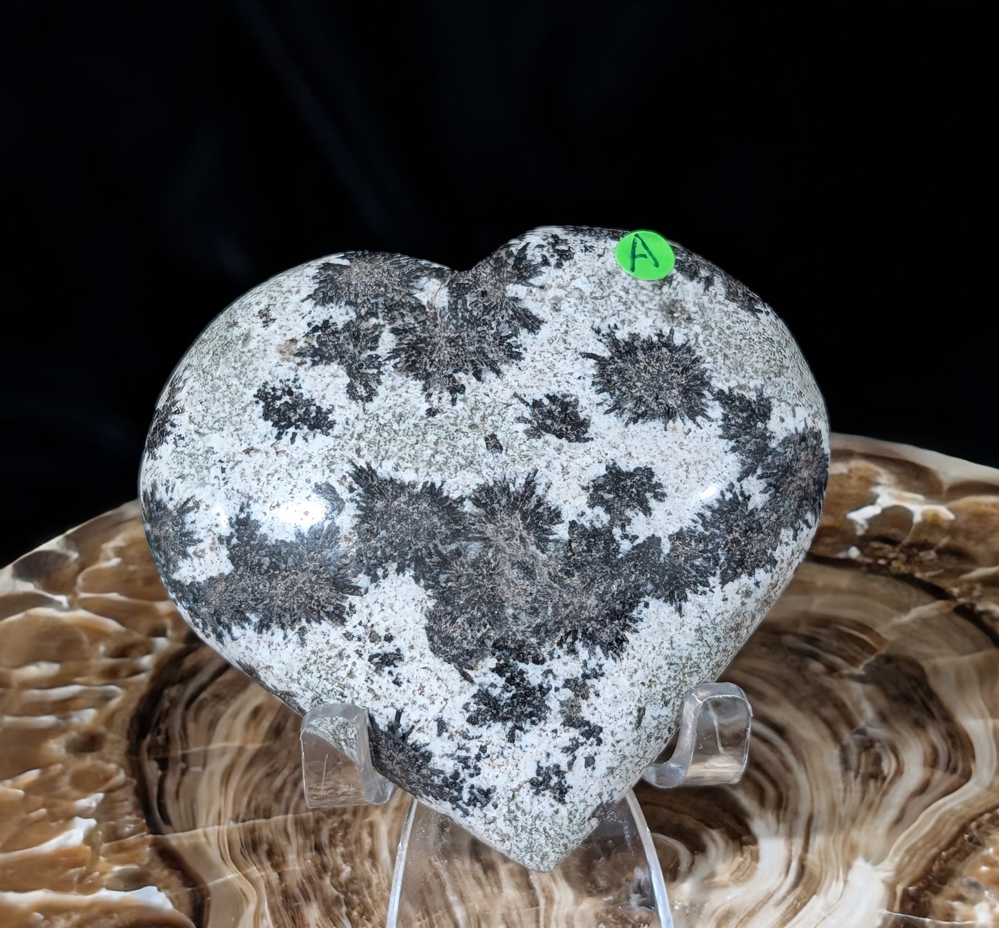 Back Tourmaline on Epidote Heart