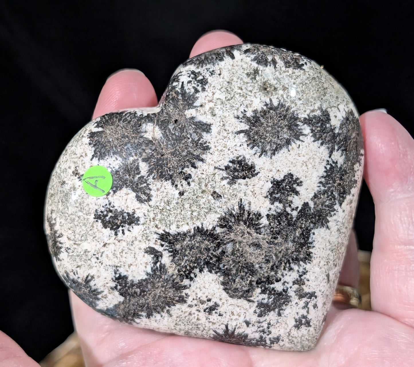 Back Tourmaline on Epidote Heart