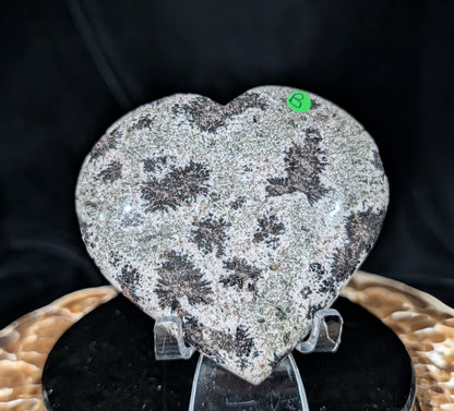 Back Tourmaline on Epidote Heart