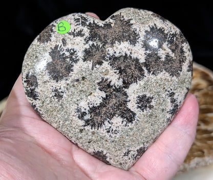 Back Tourmaline on Epidote Heart