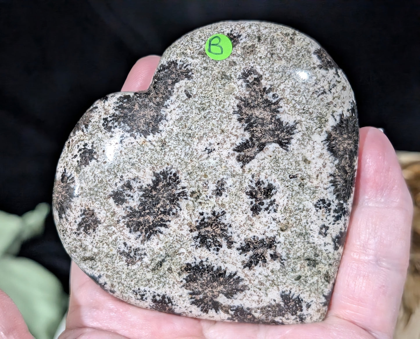 Back Tourmaline on Epidote Heart