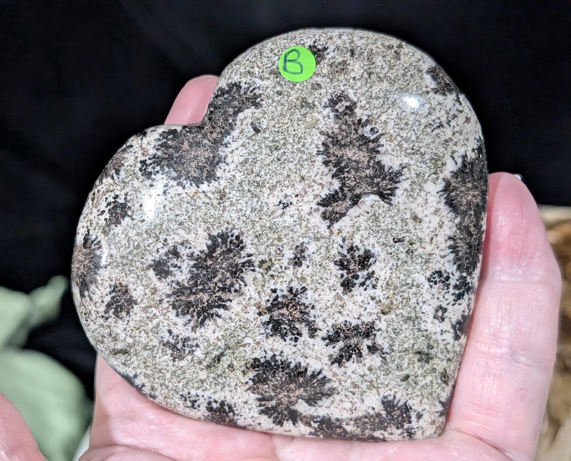 Back Tourmaline on Epidote Heart