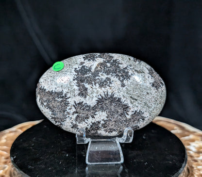 Back Tourmaline on Epidote Palm Stone