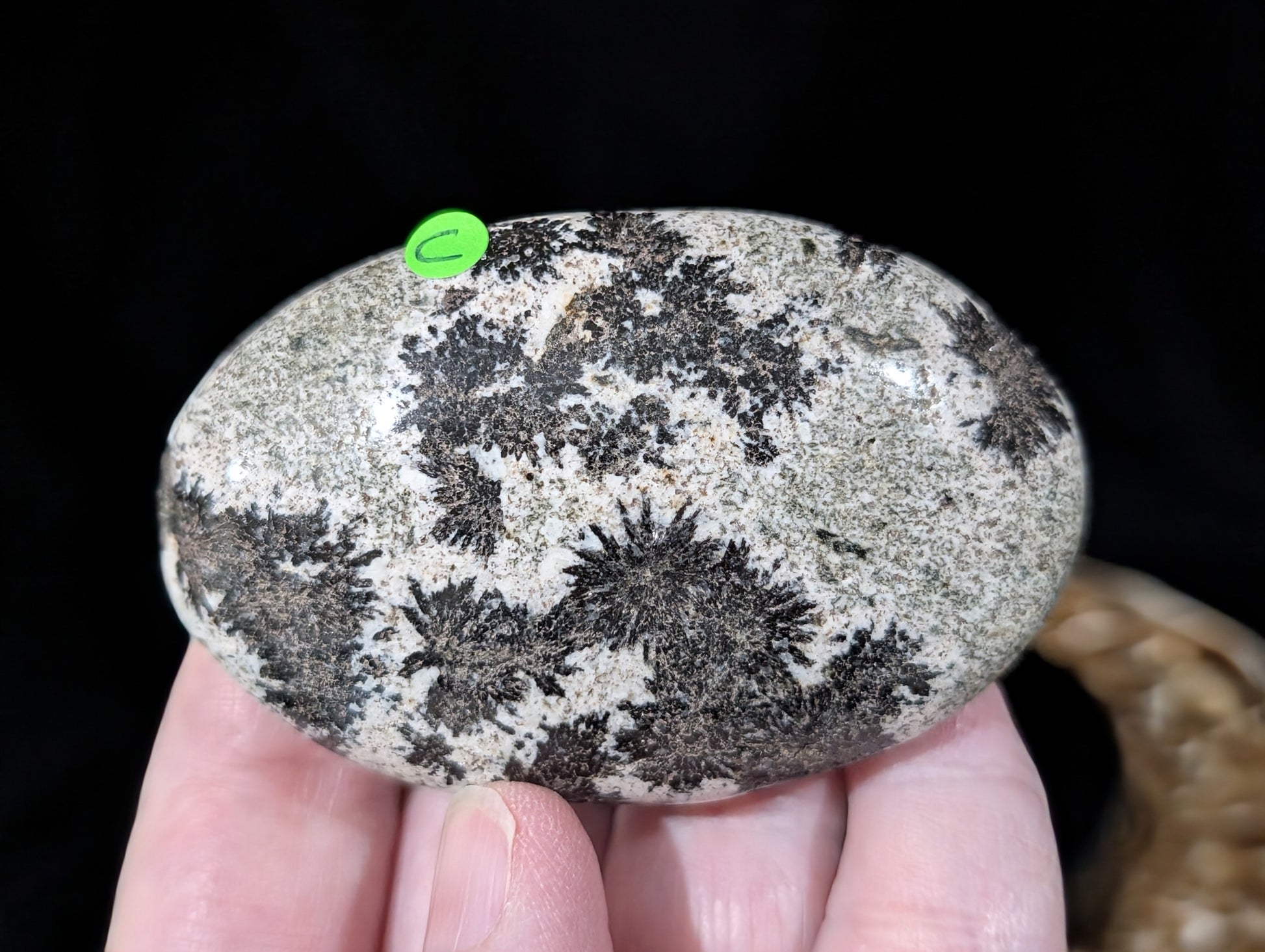 Back Tourmaline on Epidote Palm Stone