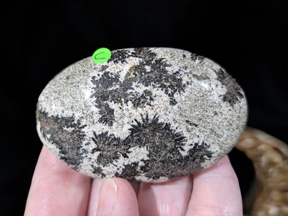 Back Tourmaline on Epidote Palm Stone