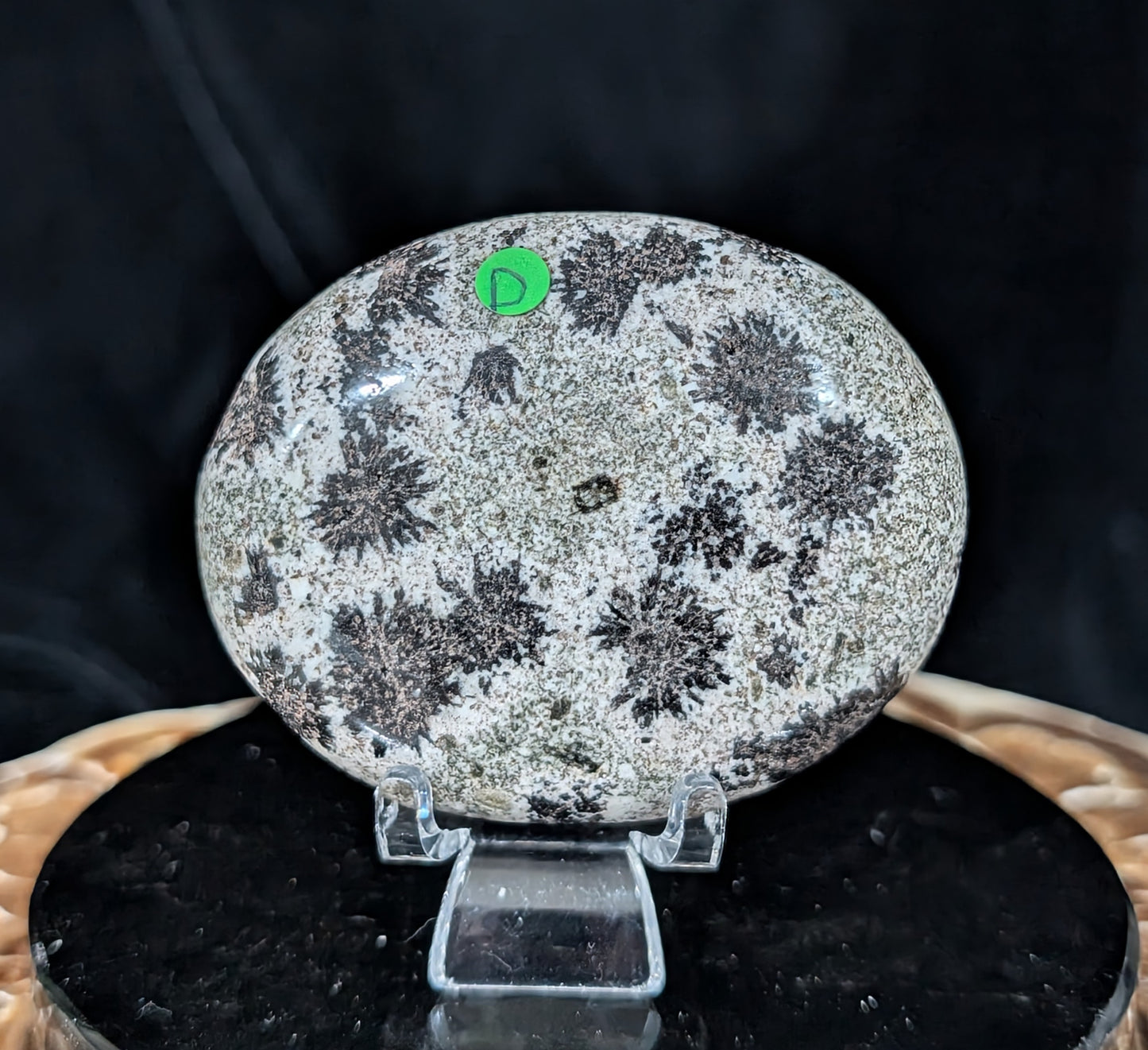 Back Tourmaline on Epidote Palm Stone