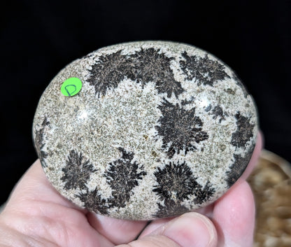 Back Tourmaline on Epidote Palm Stone