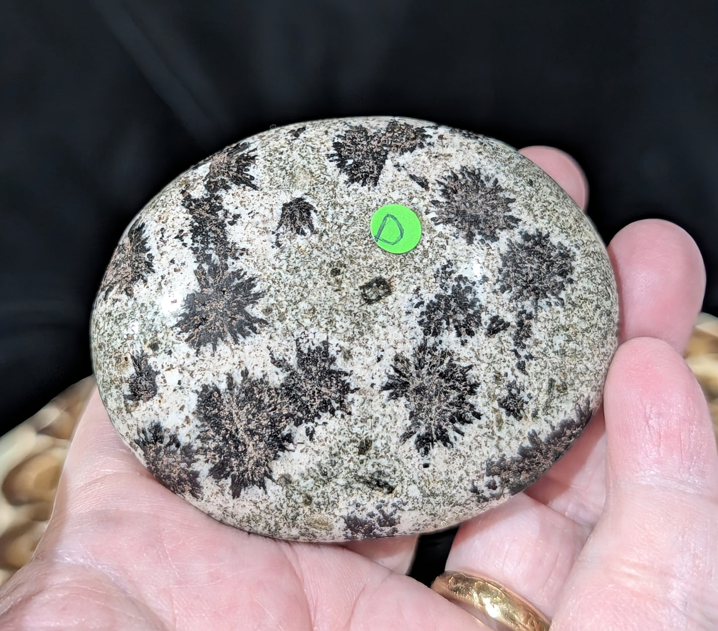 Back Tourmaline on Epidote Palm Stone
