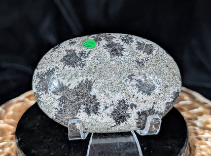Back Tourmaline on Epidote Palm Stone