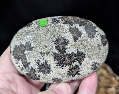Back Tourmaline on Epidote Palm Stone