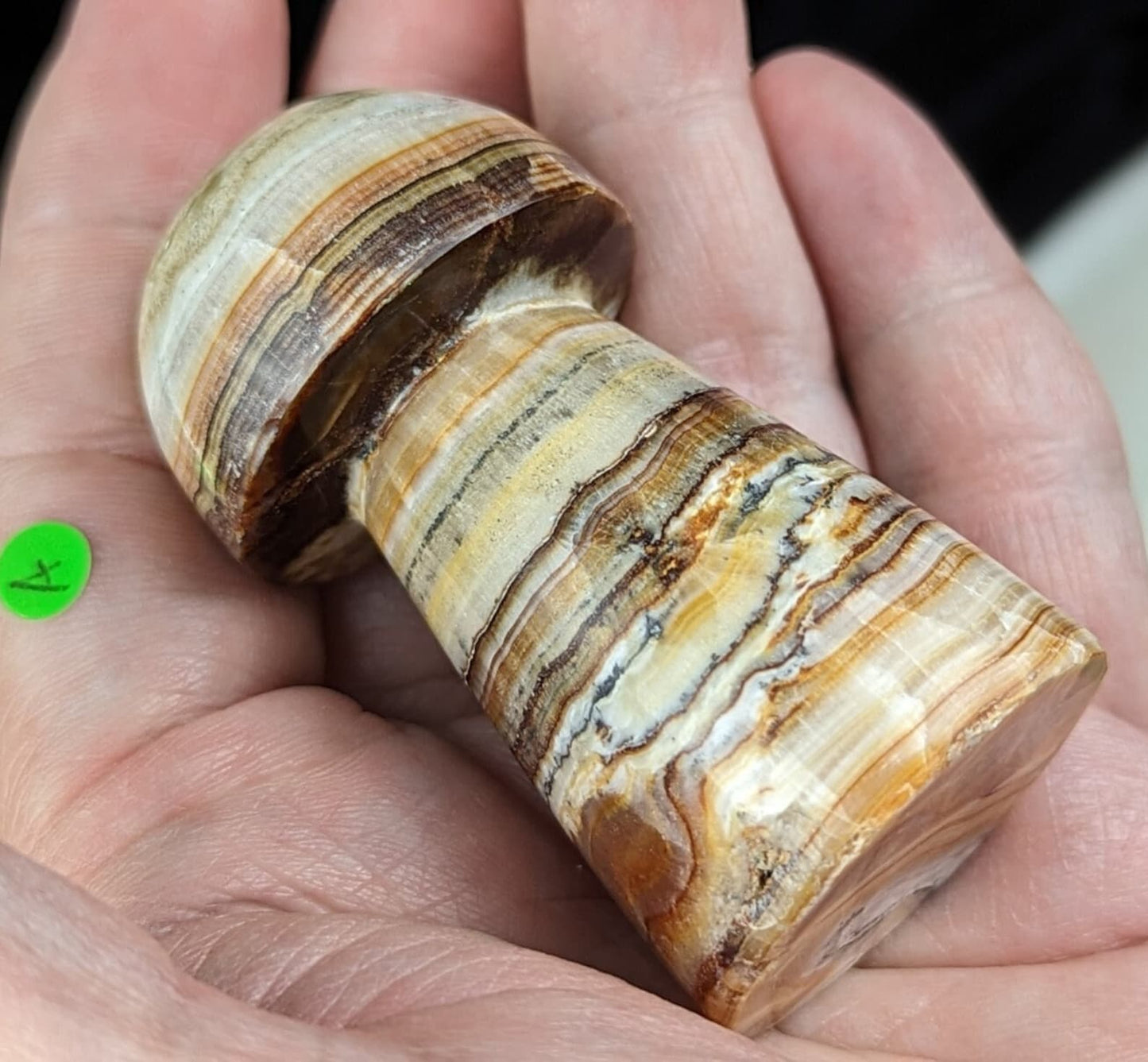 Banded Brown Aragonite Mushrooms