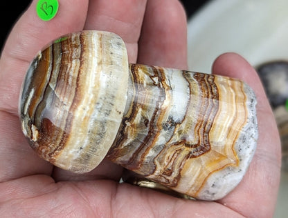 Banded Brown Aragonite Mushrooms