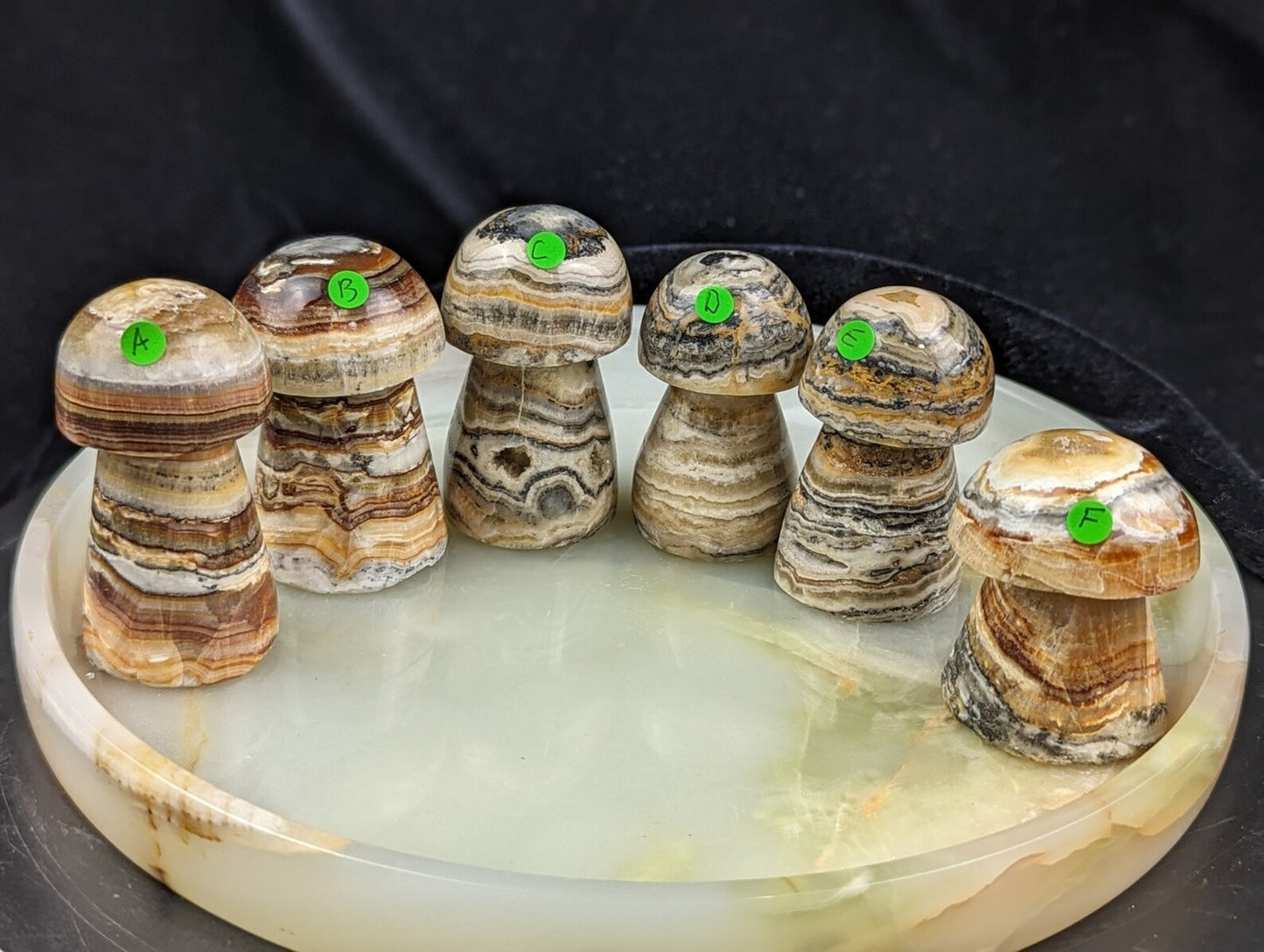 Banded Brown Aragonite Mushrooms