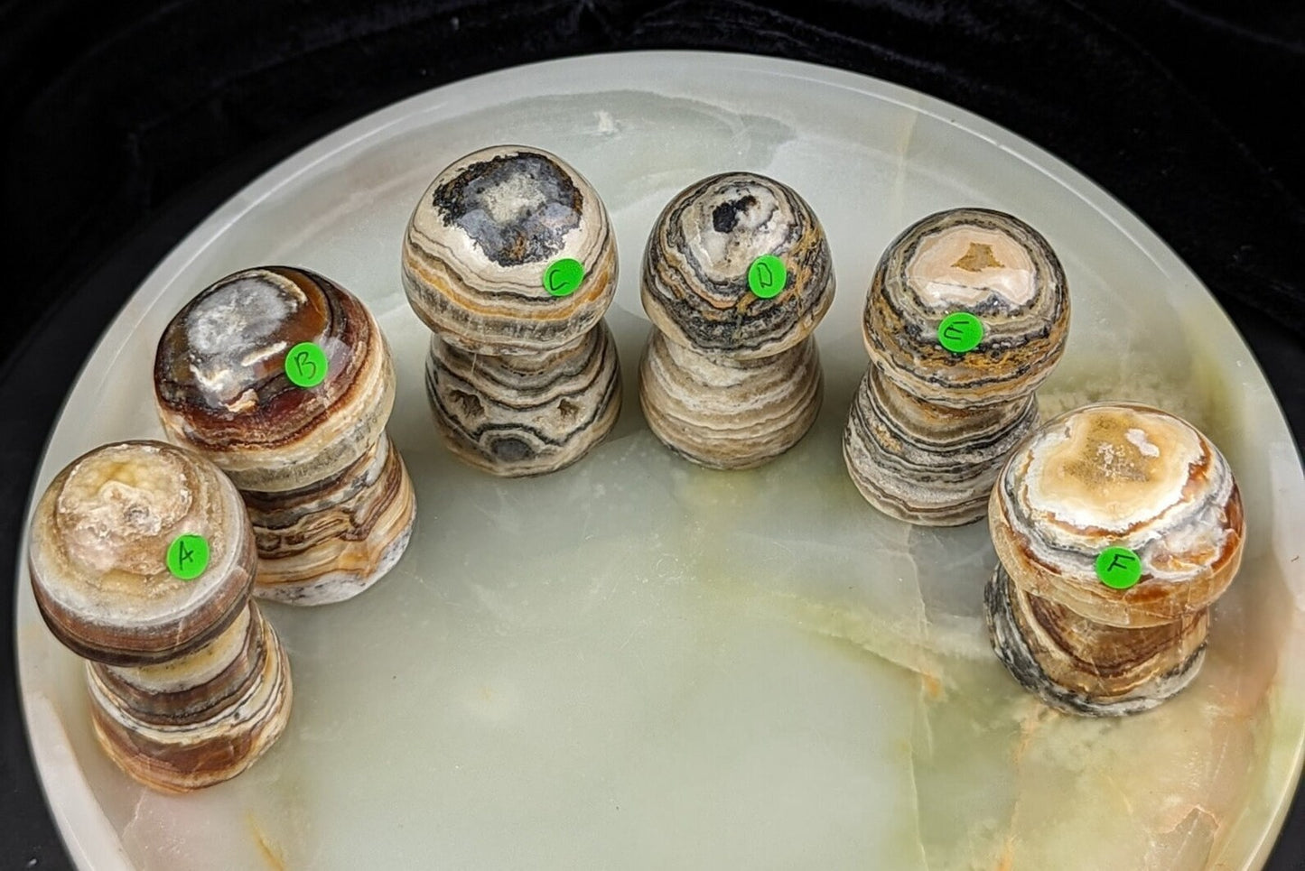 Banded Brown Aragonite Mushrooms