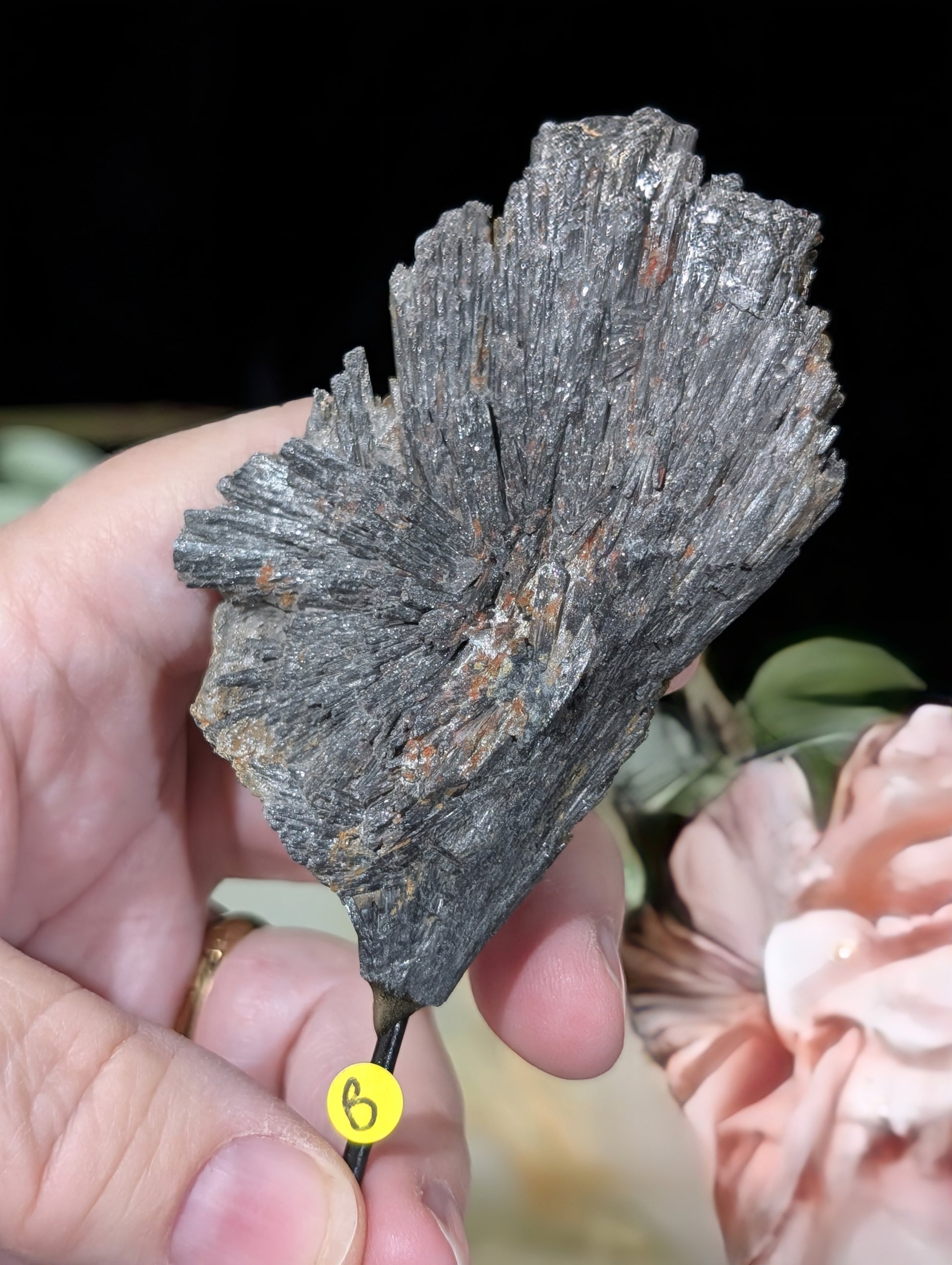 Black Kyanite Fan Formation