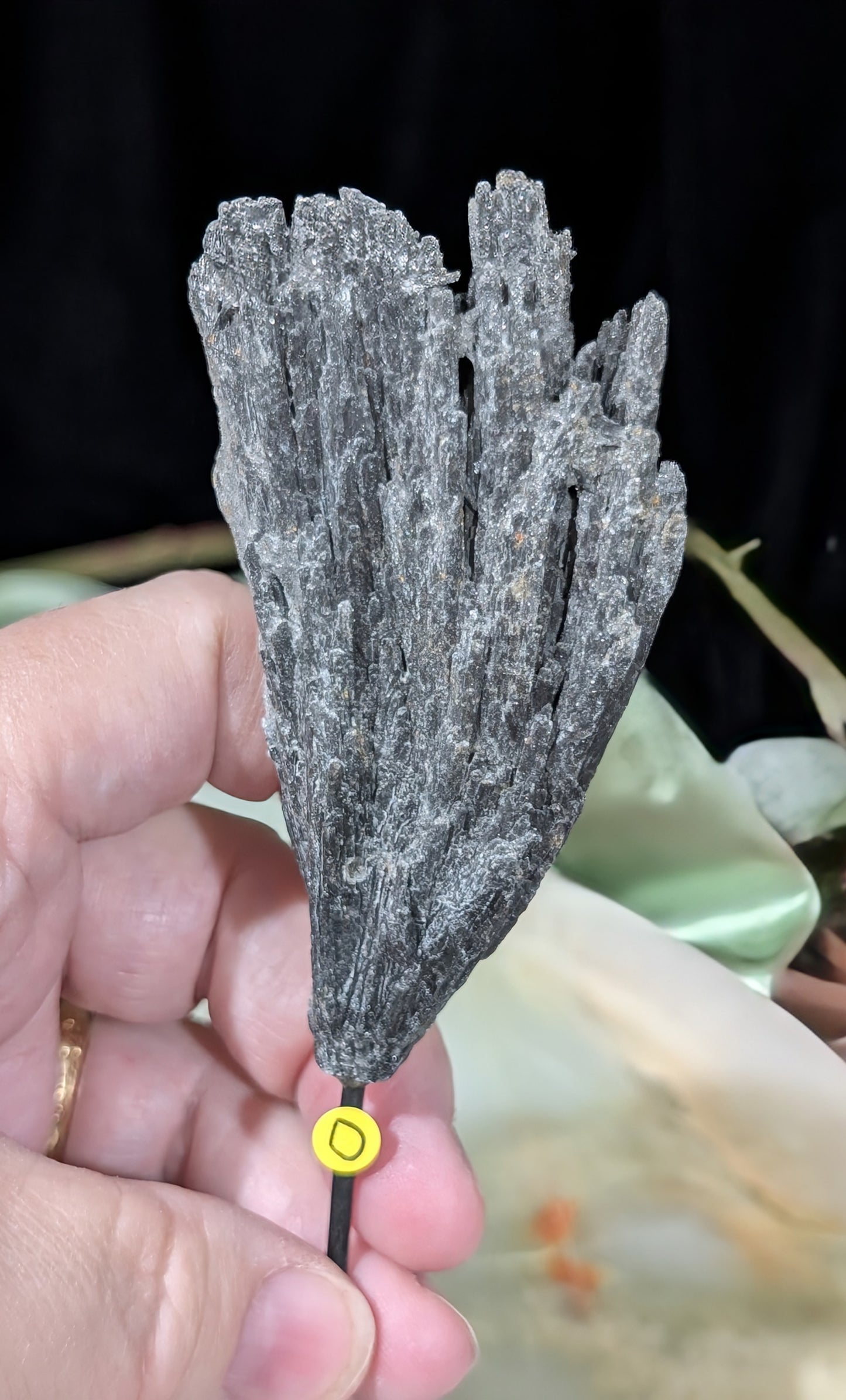 Black Kyanite Fan Formation