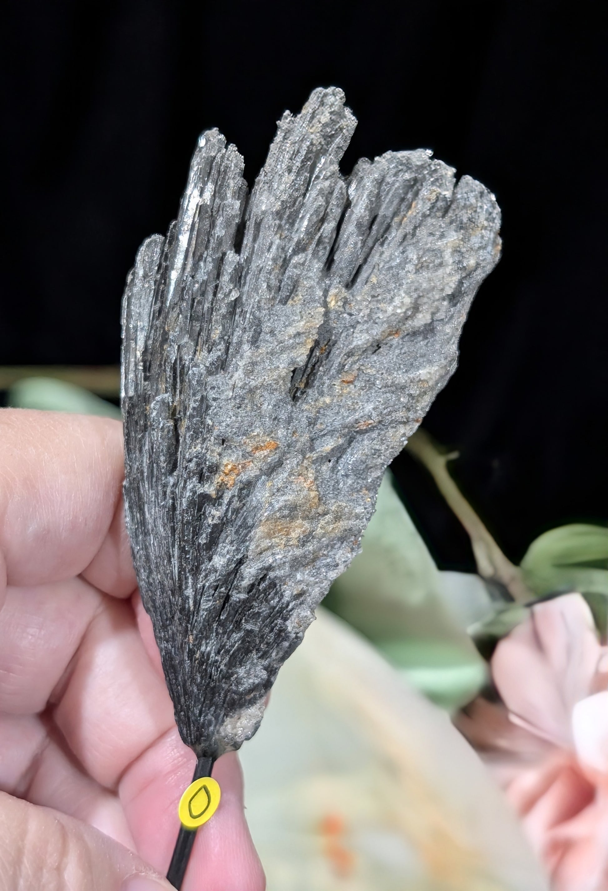 Black Kyanite Fan Formation