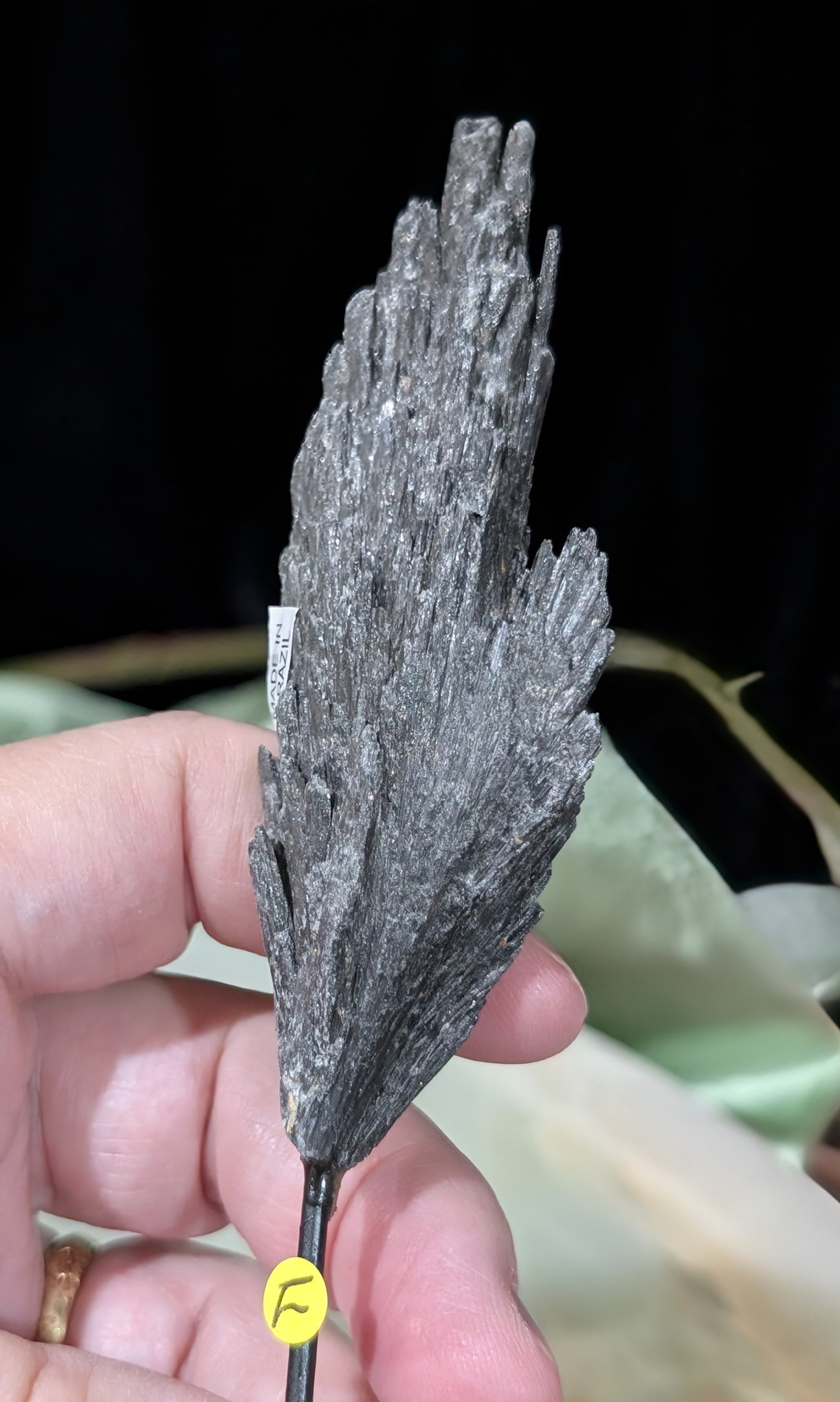 Black Kyanite Fan Formation