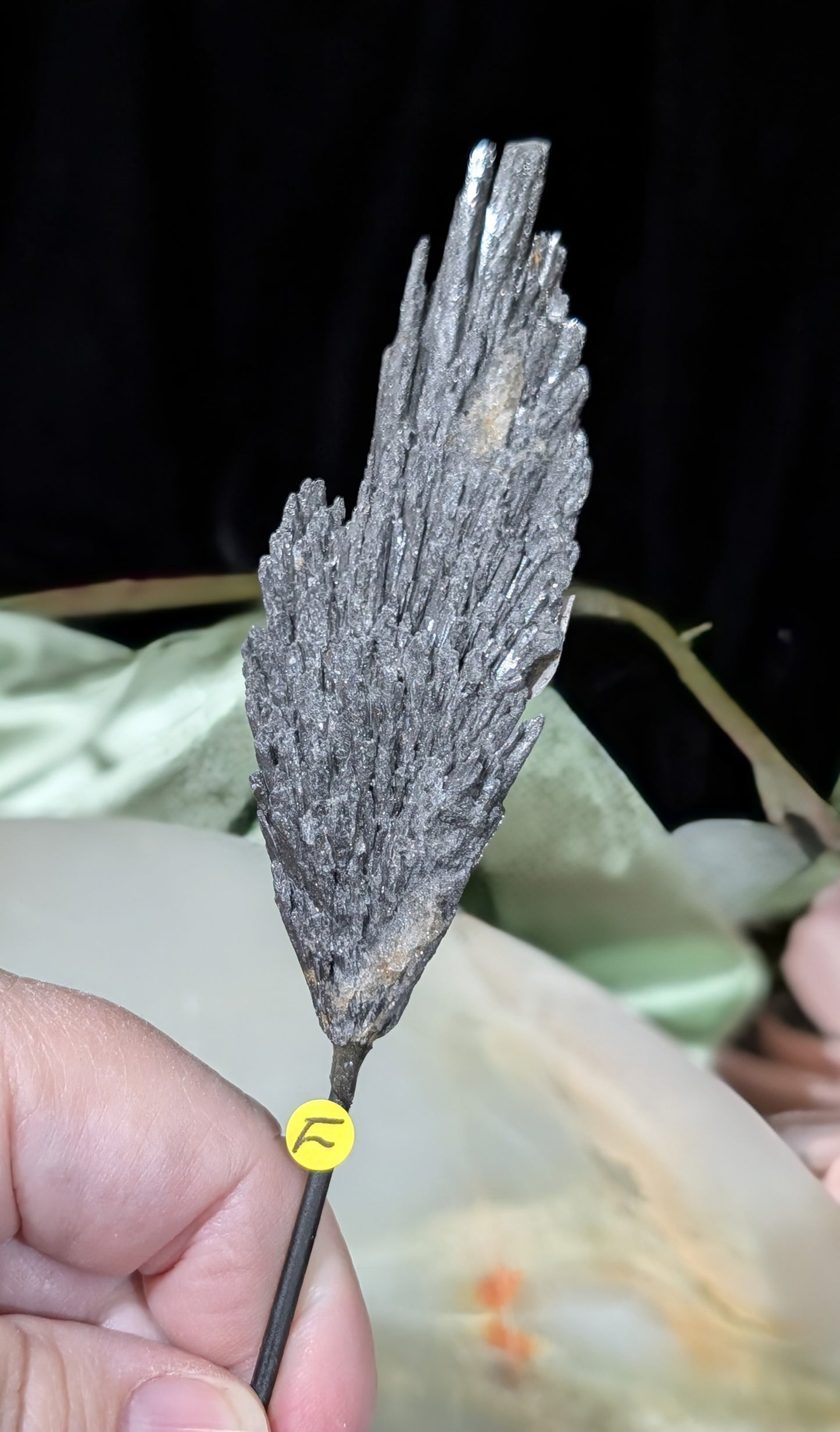 Black Kyanite Fan Formation