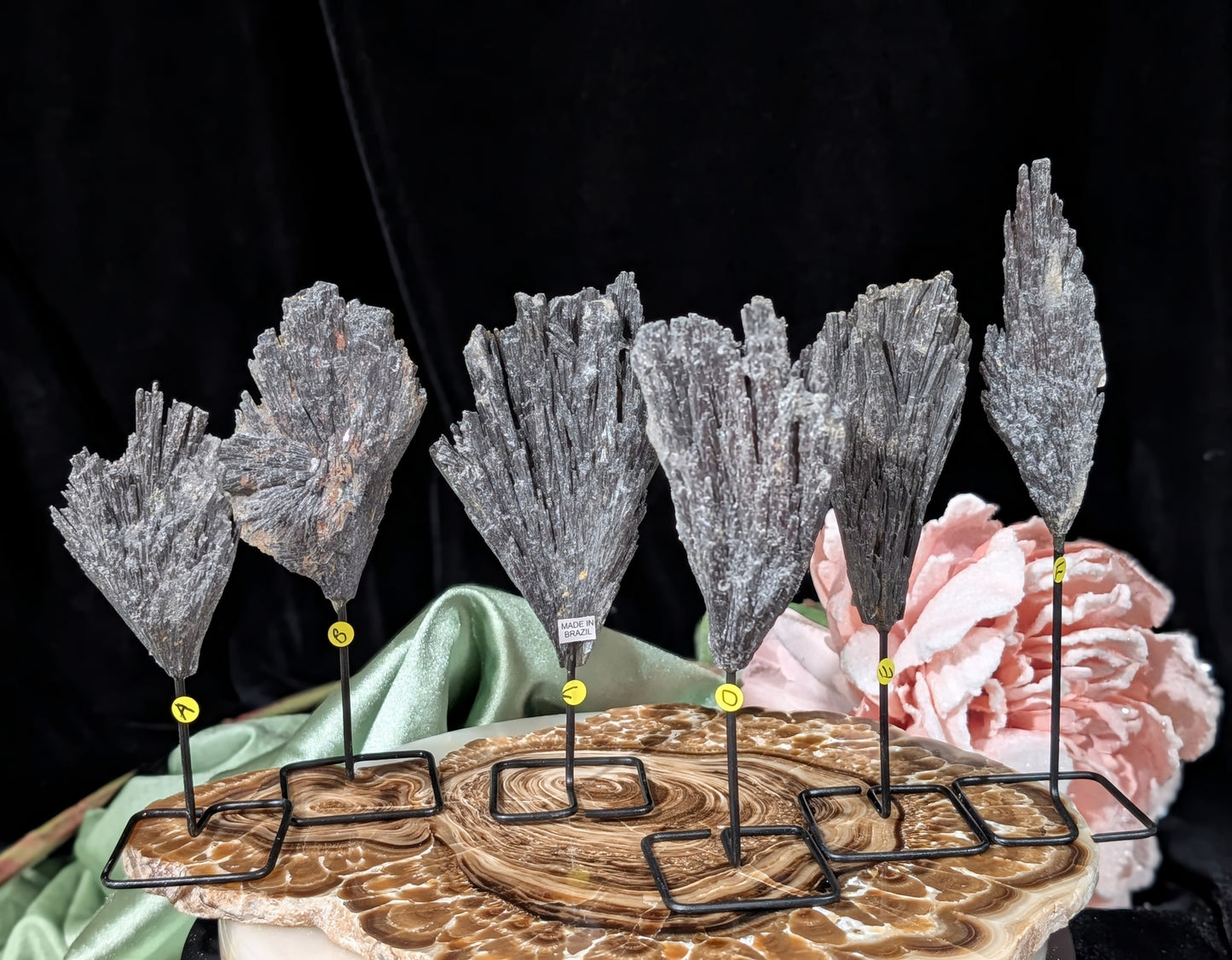 Black Kyanite Fan Formations
