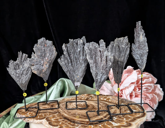 Black Kyanite Fan Formations