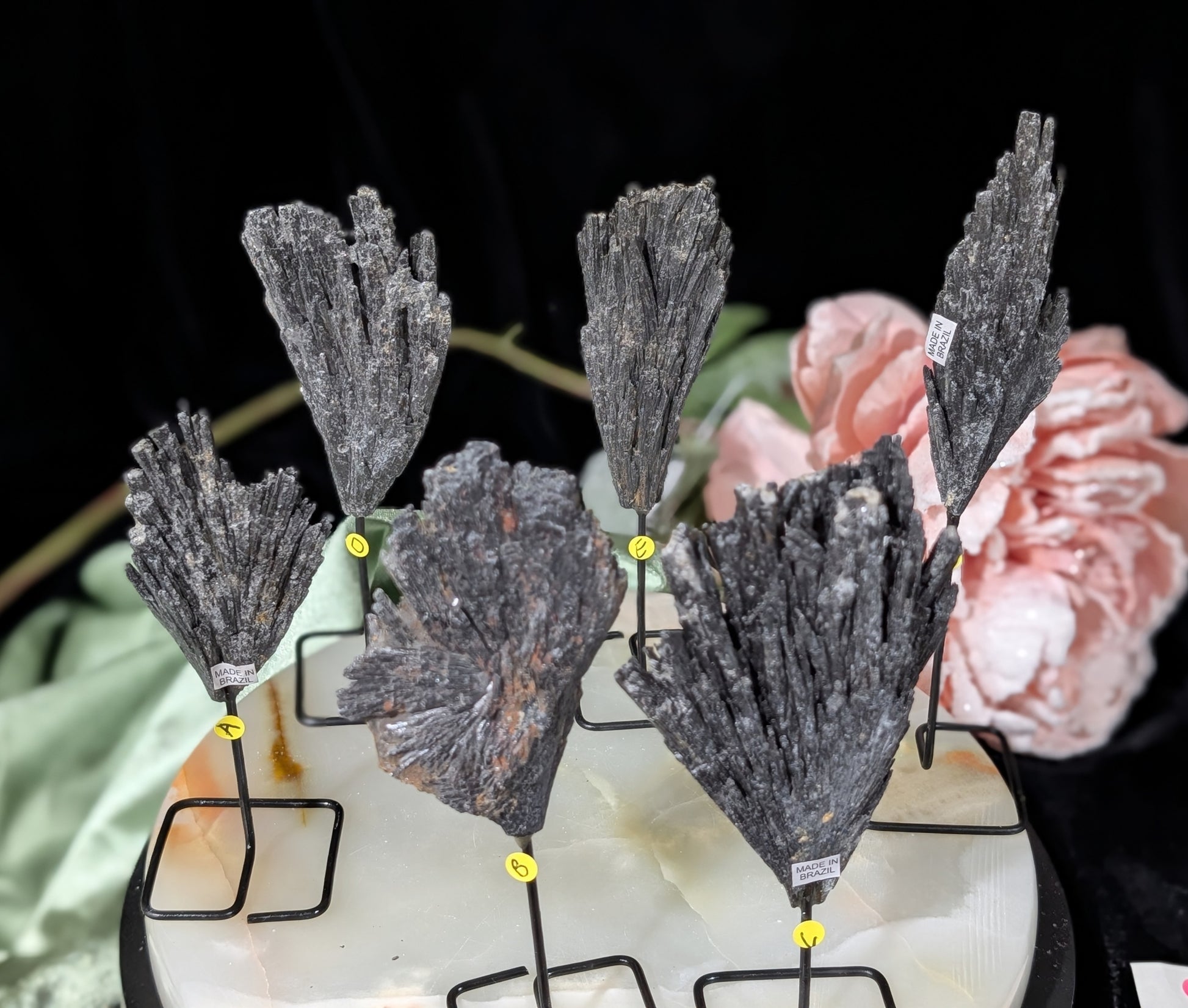 Black Kyanite Fan Formations