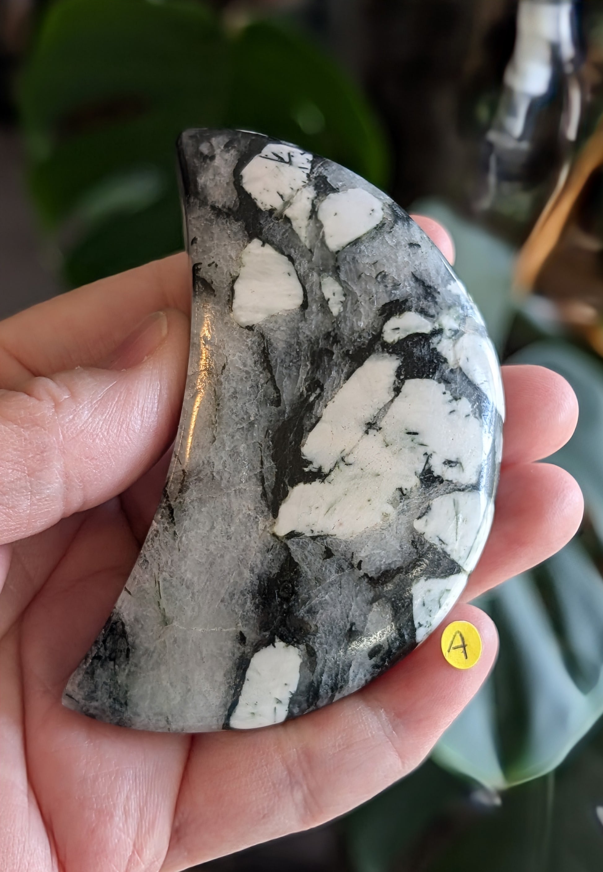 Black Tourmaline and Quartz Crescent Moon