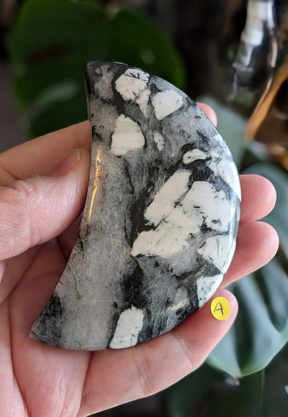 Black Tourmaline and Quartz Crescent Moon