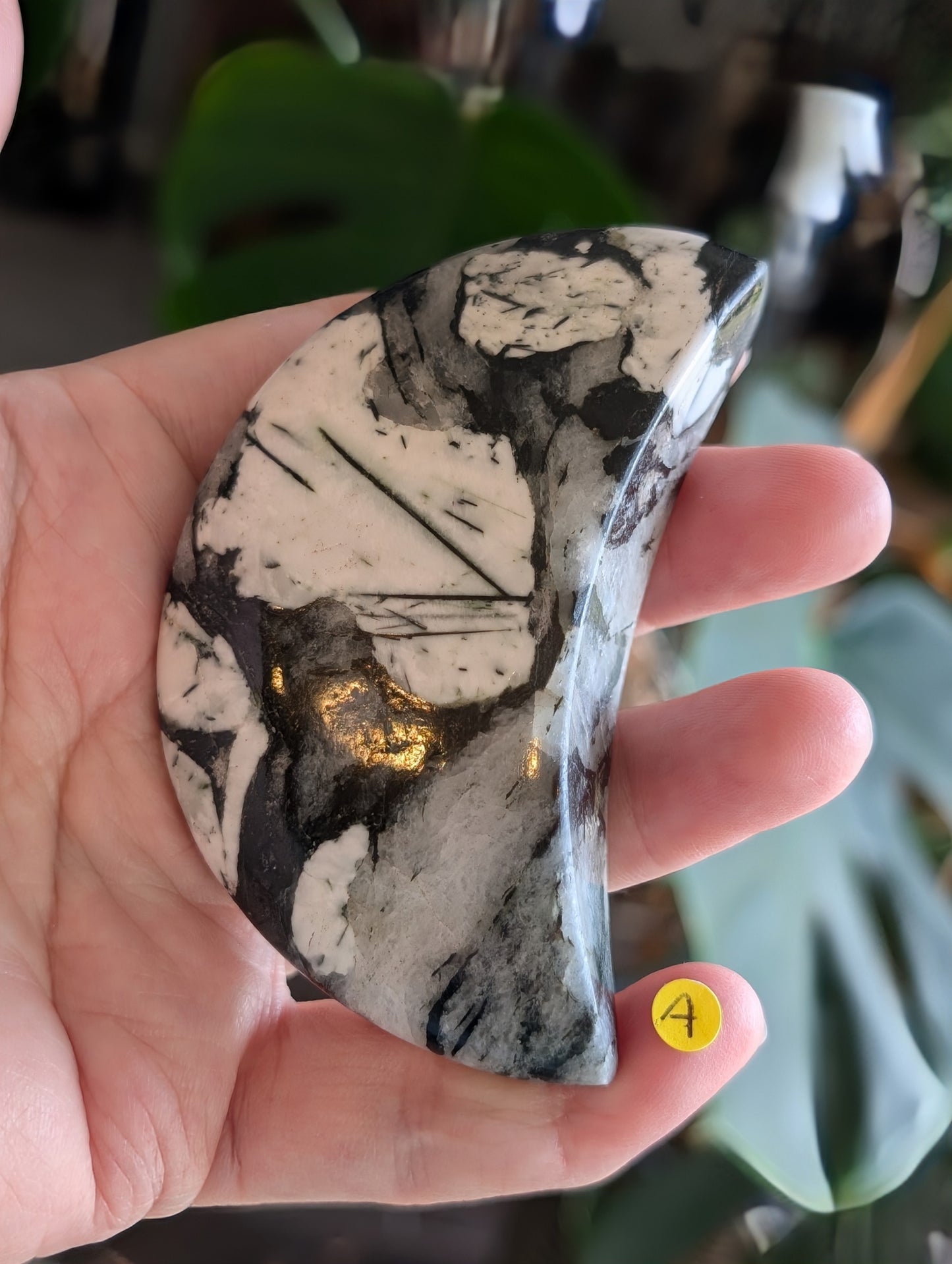 Black Tourmaline and Quartz Crescent Moon