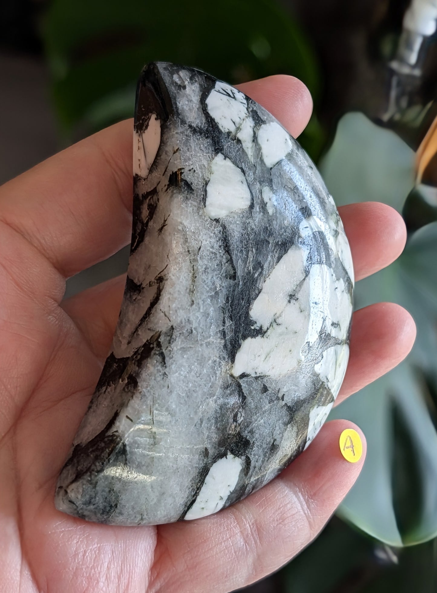 Black Tourmaline and Quartz Crescent Moon