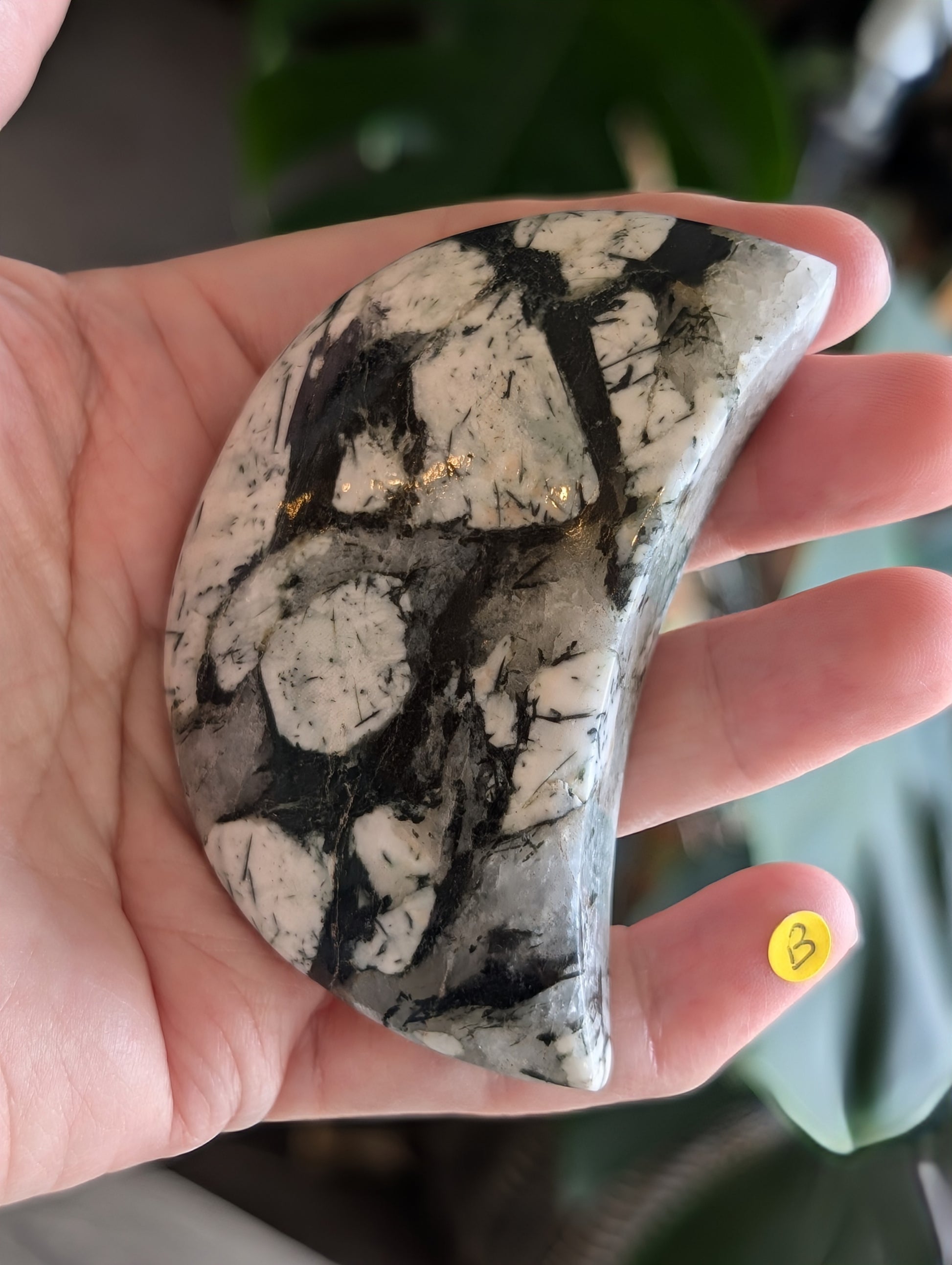 Black Tourmaline and Quartz Crescent Moon