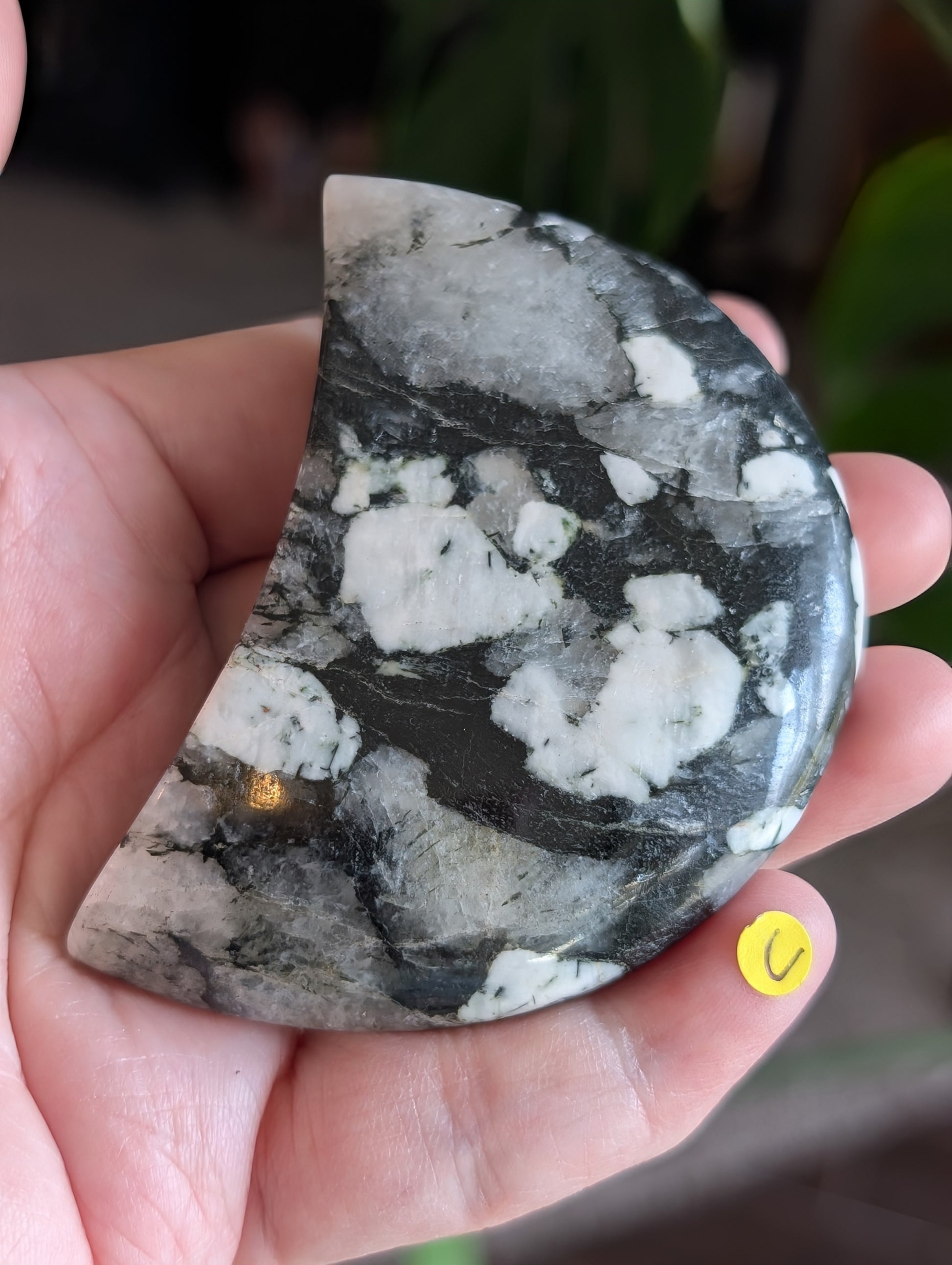 Black Tourmaline and Quartz Crescent Moon