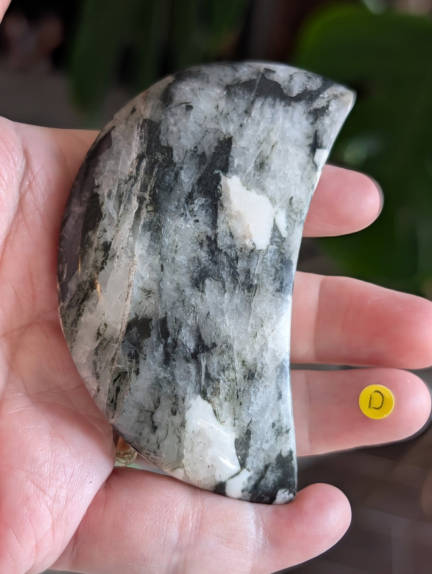 Black Tourmaline and Quartz Crescent Moon