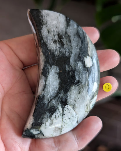 Black Tourmaline and Quartz Crescent Moon