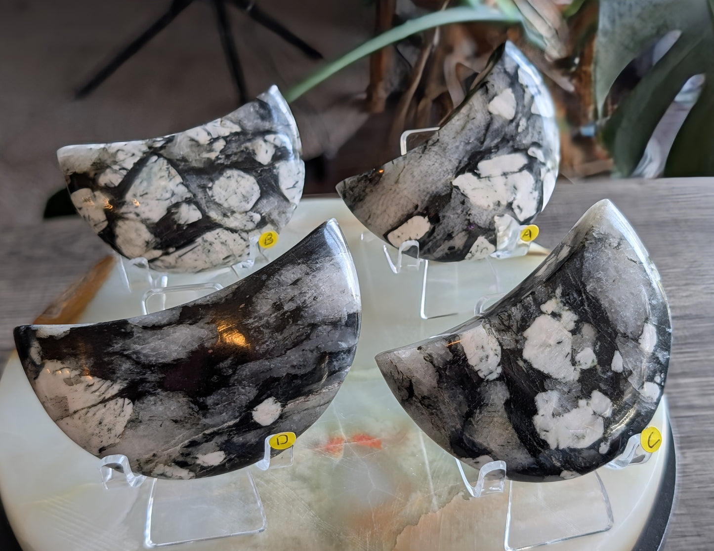 Black Tourmaline and Quartz Crescent Moons