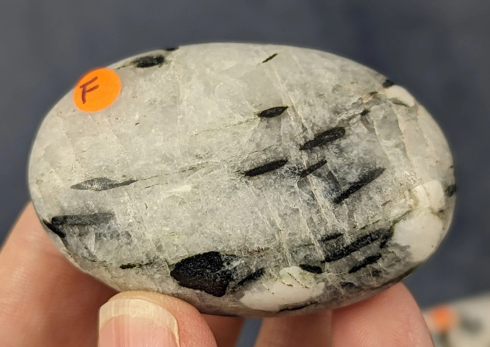 Black Tourmaline in Smoky Quartz Palm Stone