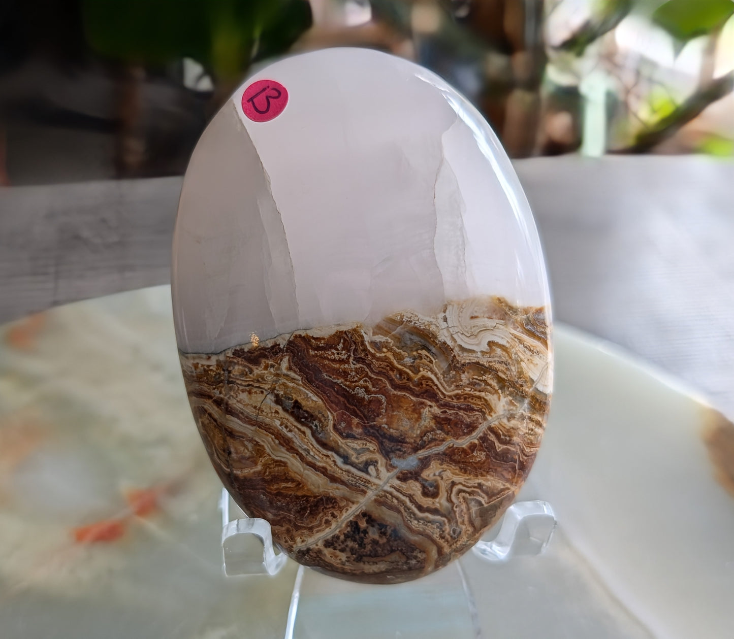 Bumblebee Jasper with Pink Mangano Palm Stone