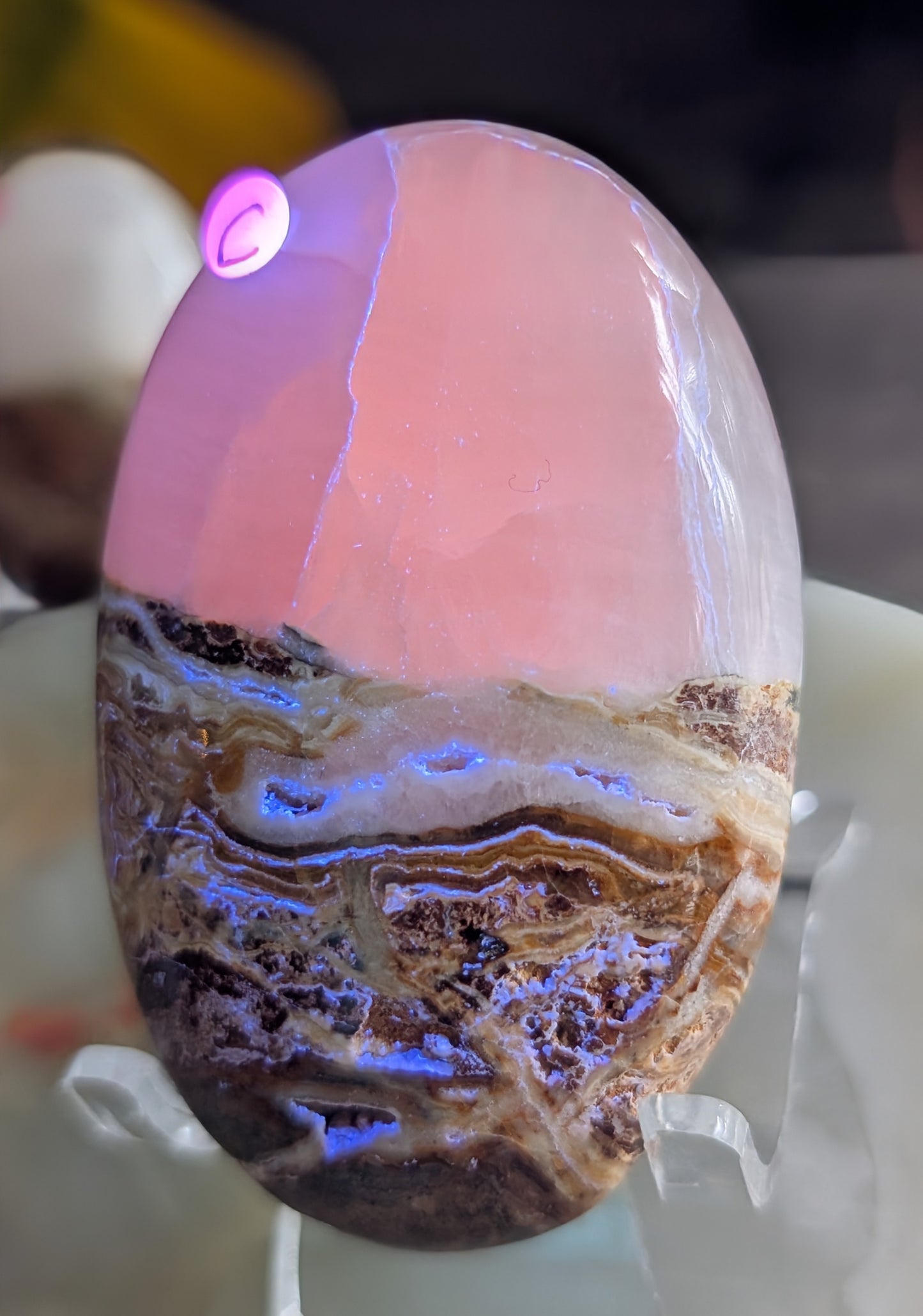 Bumblebee Jasper with Pink Mangano Palm Stone