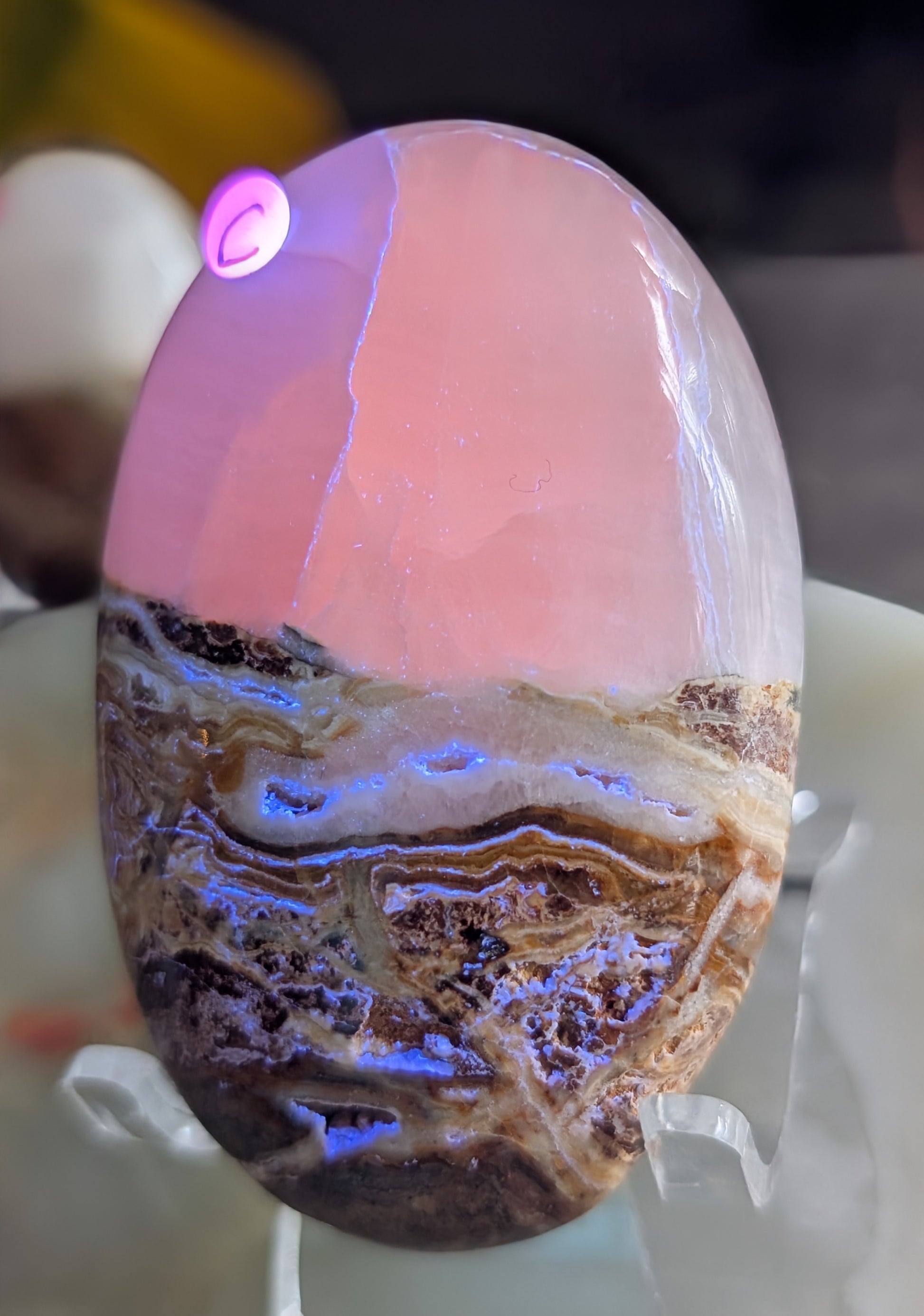 Bumblebee Jasper with Pink Mangano Palm Stone