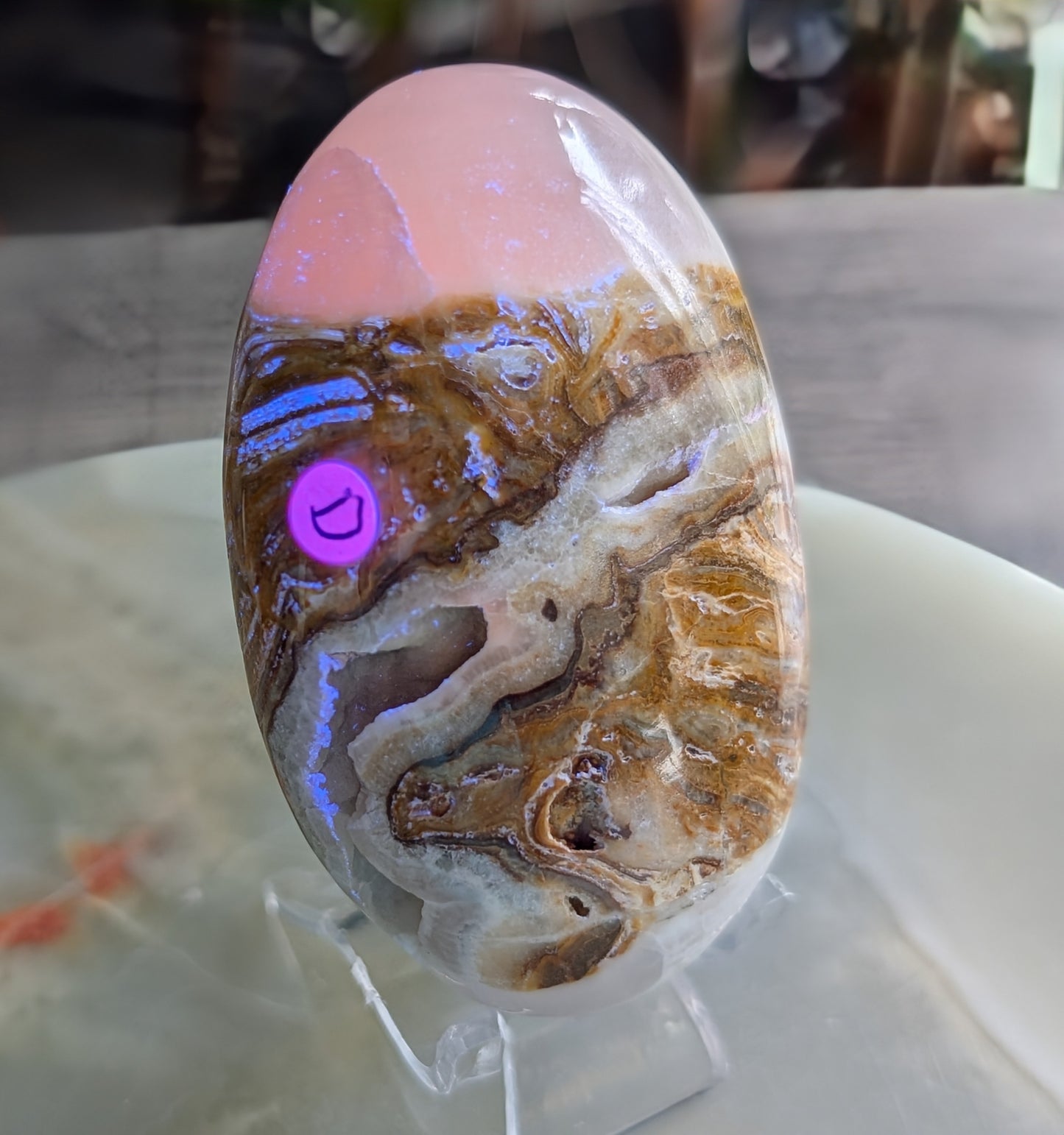 Bumblebee Jasper with Pink Mangano Palm Stone