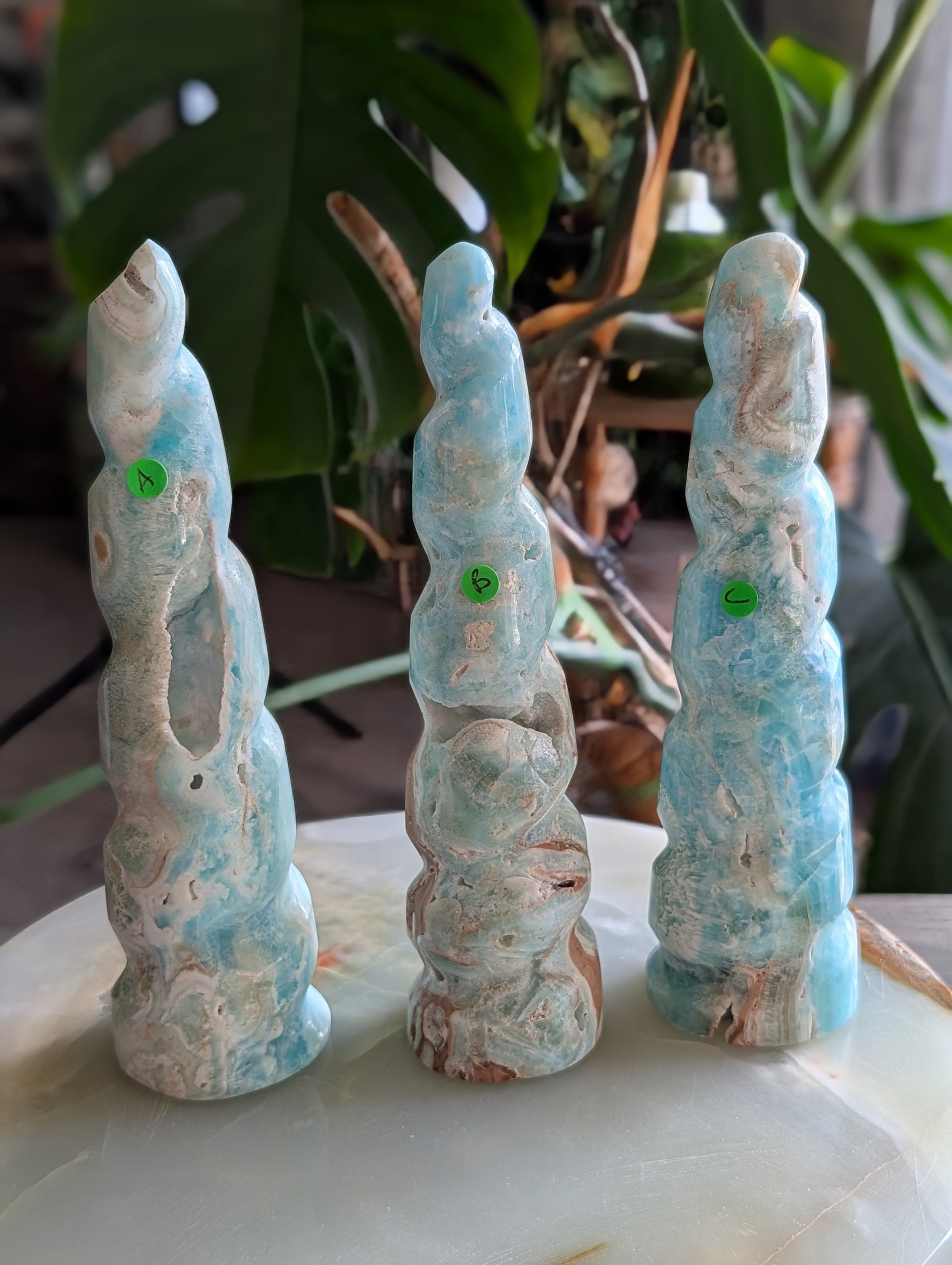 Caribbean Calcite Unicorn Horns