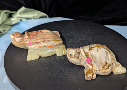 Carved Onyx Turtle Figurines