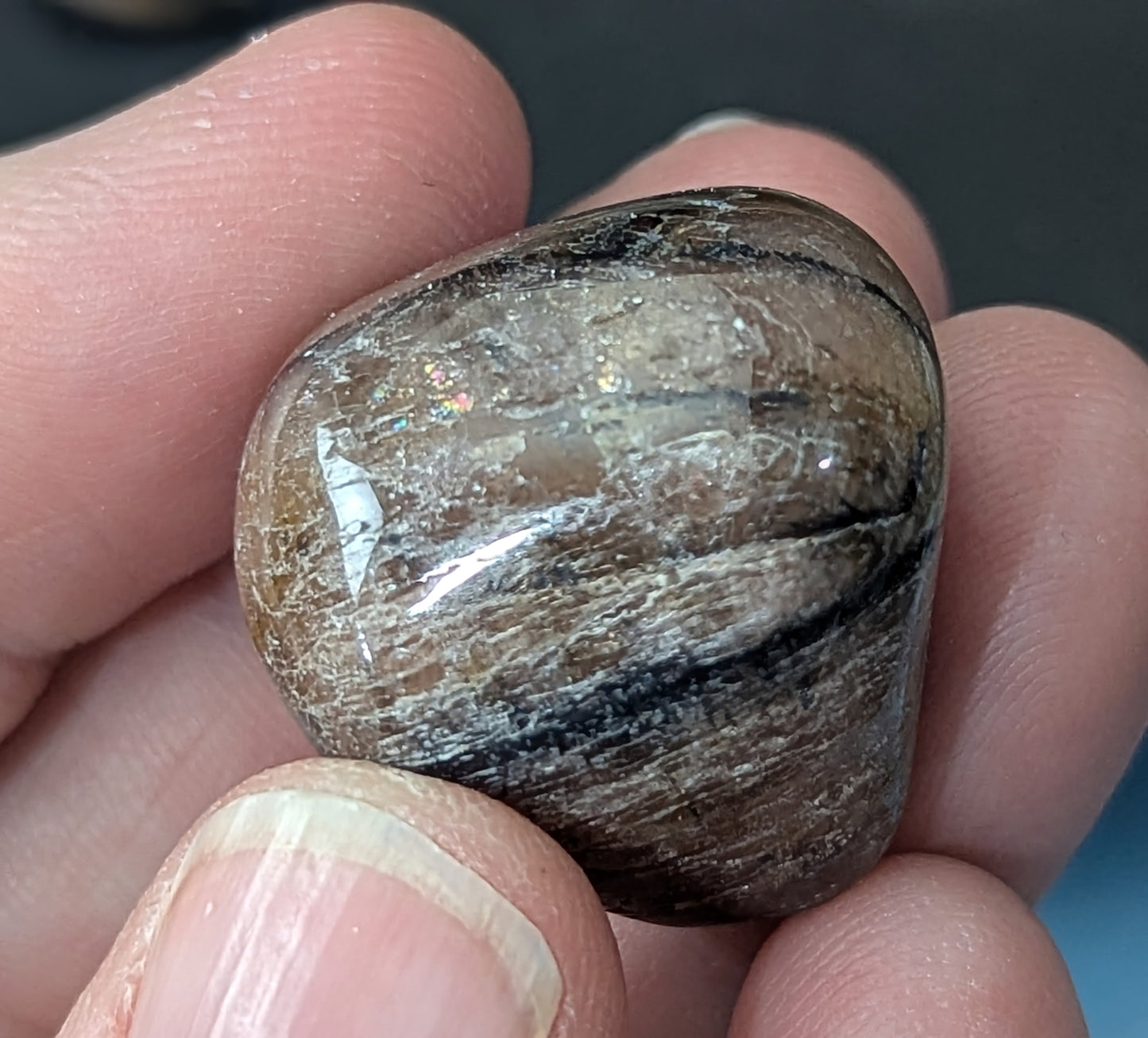 Chiastolite Tumble