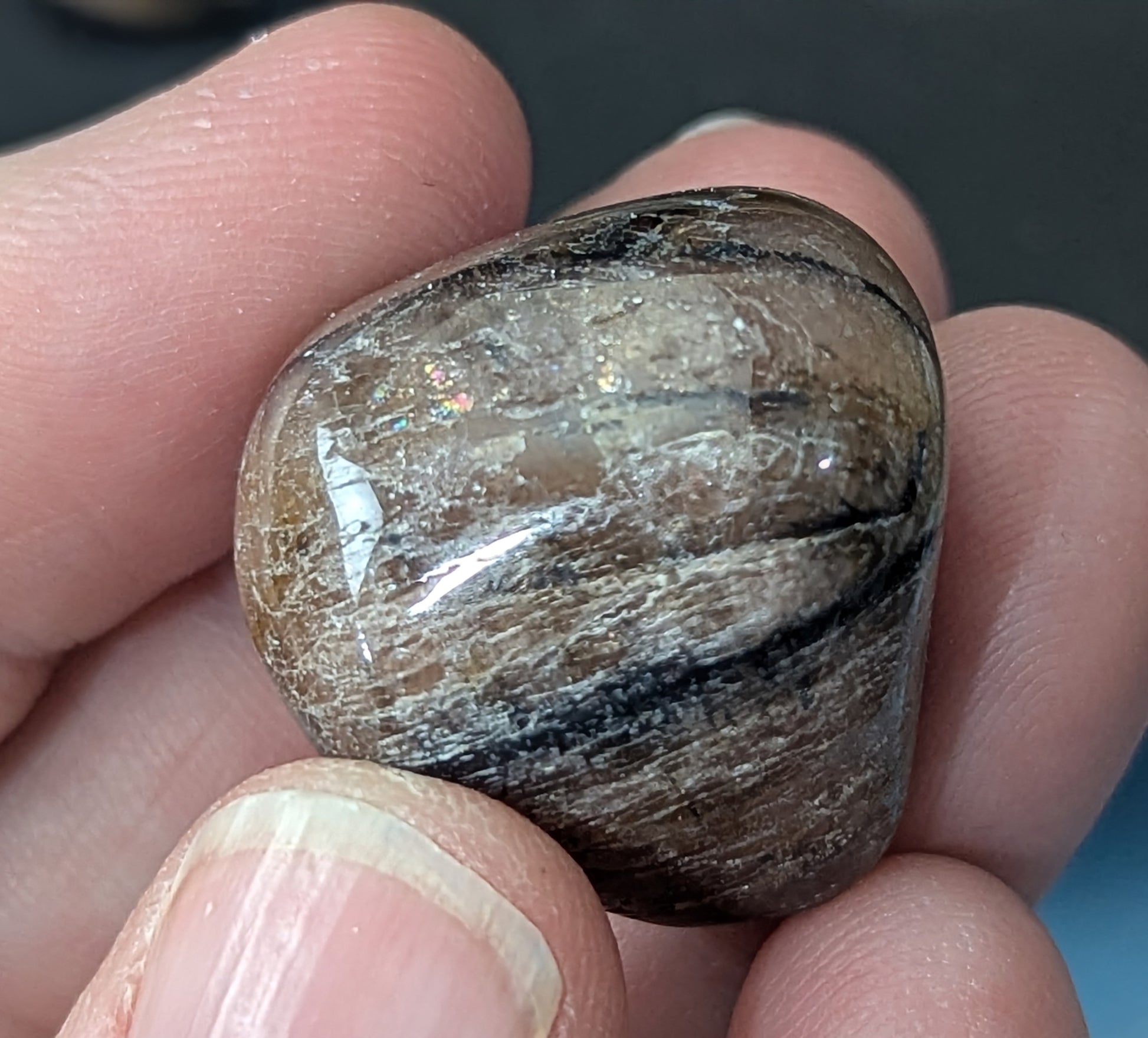Chiastolite Tumble