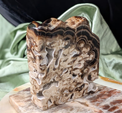 Chocolate Calcite Freeform