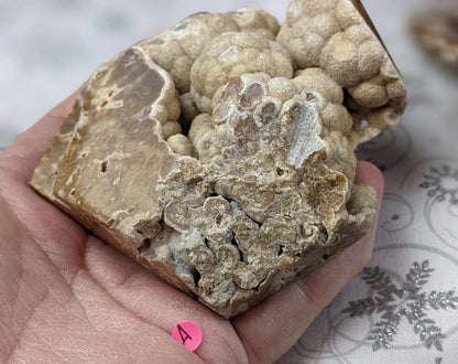 Bubble Chocolate Calcite Freeform 1A3