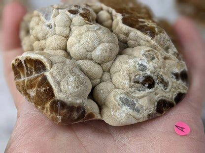 Bubble Chocolate Calcite Freeform 1A4